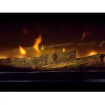 Dimplex Ignite Evolve 50 10